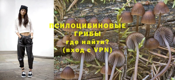 PSILOCYBIN Баксан